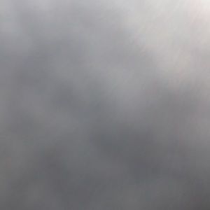 Meet your Posher, Piper